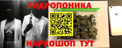 дмт Будённовск
