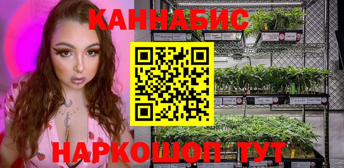 Каннабис OG Kush Дубна